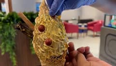 Gold Plated Ice cream: ભીષણ ગરમીમાં 24 કેરેટ ગોલ્ડ પ્લેટેડ આઈસ્ક્રીમની મોજ માણી રહ્યા છે સુરતીઓ, જુઓ તસવીરો
