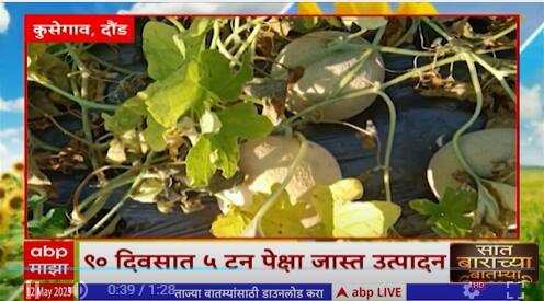 Saat Barachya Batmya : 7/12 : सात बाराच्या बातम्या : 18 गुंठ्यात खरबुजापासून दीड लाख उत्पन्न