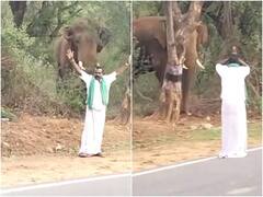 जंगल के बीच विशालकाय हाथी को परेशान करने लगा शख्स, यूजर्स का फूटा गुस्सा