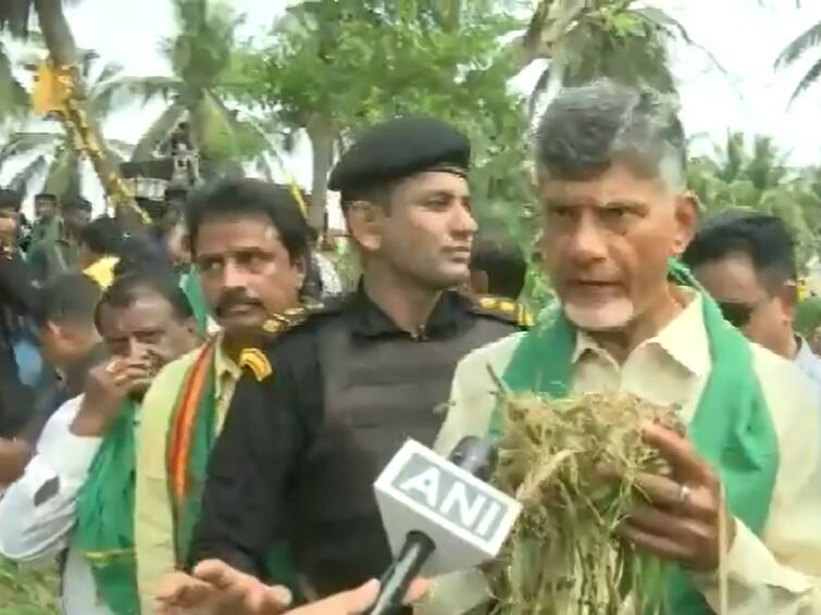 Farmers Committing Suicide Shows The Inefficiency Of YSRCP Government: TDP Chief Chandrababu Naidu Farmers Committing Suicide Shows The Inefficiency Of YSRCP Government: TDP Chief Chandrababu Naidu