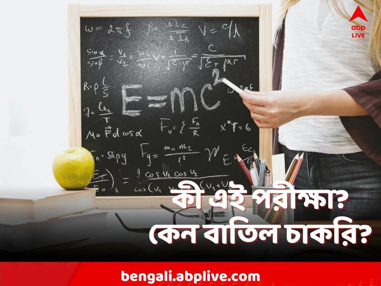 36,000 untrained teachers' jobs were cancelled by High Court, What is aptitude test in Primary teacher recruitment Recruitment Scam: অ্যাপটিটিউড টেস্টে চূড়ান্ত দুর্নীতির অভিযোগে চাকরি বাতিল! কী এই পরীক্ষা?