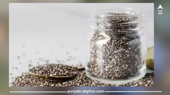 Chia Seeds: ਚੀਆ ਸੀਡਜ਼ ਖਾਣ ਦੇ ਬਹੁਤ ਸਾਰੇ ਫਾਇਦੇ ਹਨ ਪਰ ਚੀਆ ਸੀਡਜ਼ ਦੇ ਜ਼ਿਆਦਾ ਸੇਵਨ ਨਾਲ ਗੈਸਟਰੋਇੰਟੇਸਟਾਈਨਲ ਸਮੱਸਿਆ ਹੋ ਸਕਦੀ ਹੈ। ਇਸ ਤੋਂ ਇਲਾਵਾ ਇਸ ਨਾਲ ਕਈ ਹੋਰ ਗੰਭੀਰ ਸਮੱਸਿਆਵਾਂ ਹੋ ਸਕਦੀਆਂ ਹਨ।