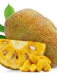 गर्मियों में कटहल खाने के क्या-क्या नुकसान हैं?