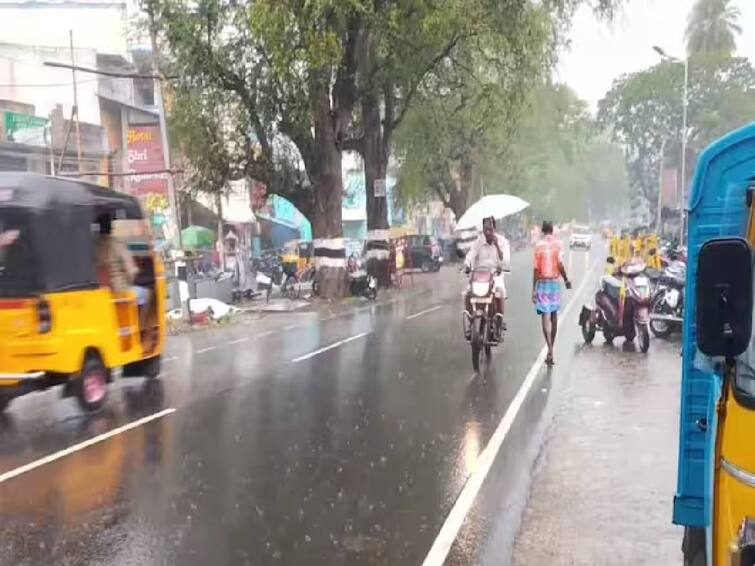 Tamil Nadu is likely to experience moderate rain for the next 5 days, according to the Meteorological Department. TN Rain Alert: 