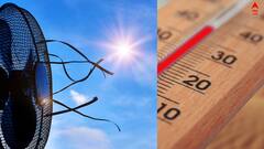 Summer Care: তীব্র গরমে কী করে নিজেকে ভাল রাখবেন ? রইল ঘরোয়া টোটকা