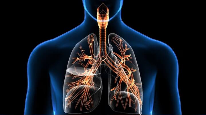 ਏਅਰ ਕੰਡੀਸ਼ਨਰ ਦੀ ਵਰਤੋਂ ਤੁਹਾਡੀ ਸਾਹ ਦੀਆਂ ਸਮੱਸਿਆਵਾਂ ਨੂੰ ਵਧਾ ਸਕਦੀ ਹੈ। ਇਹ ਬਰਡੀਆ ਫਟਣ ਦੀ ਸੰਭਾਵਨਾ ਨੂੰ ਵੀ ਵਧਾ ਸਕਦਾ ਹੈ।