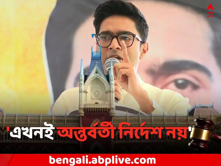 Abhishek Banerjee Case: No Interim Order in Abhishek Banerjee s Case, says Justice Amrita Sinha Abhishek Banerjee: অভিষেকের মামলায় এখনই কোনও অন্তর্বর্তী নির্দেশ নয়, জানালেন বিচারপতি