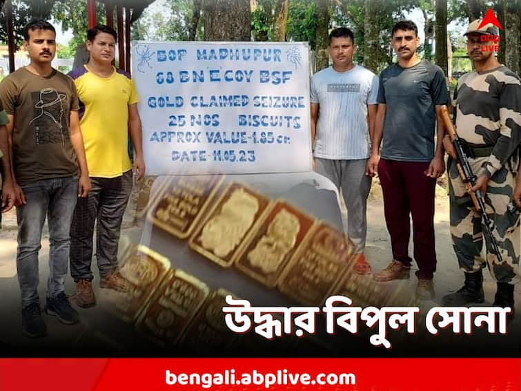 North 24 Parganas, Gold smugglers nabbed at India-Bangladesh border North 24 Parganas: বাংলাদেশ সীমান্তে উদ্ধার বিপুল সোনা, মূল্য প্রায় ২ কোটি