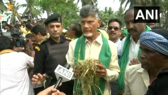 Chandrababu Naidu On Crop Loss | రైతుల కష్టాల్ని సర్కార్ పట్టించుకోవట్లేదన్న చంద్రబాబు | ABP Desam