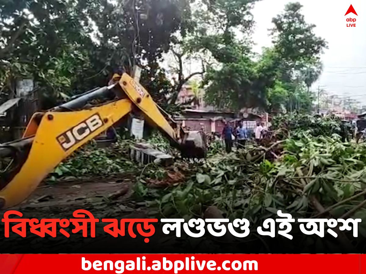 Balurghat News: বিধ্বংসী ঝড়ে লণ্ডভণ্ড বালুরঘাটের একাংশ, বিদ্যুৎ বিচ্ছিন্ন কোর্ট মোড় এলাকা