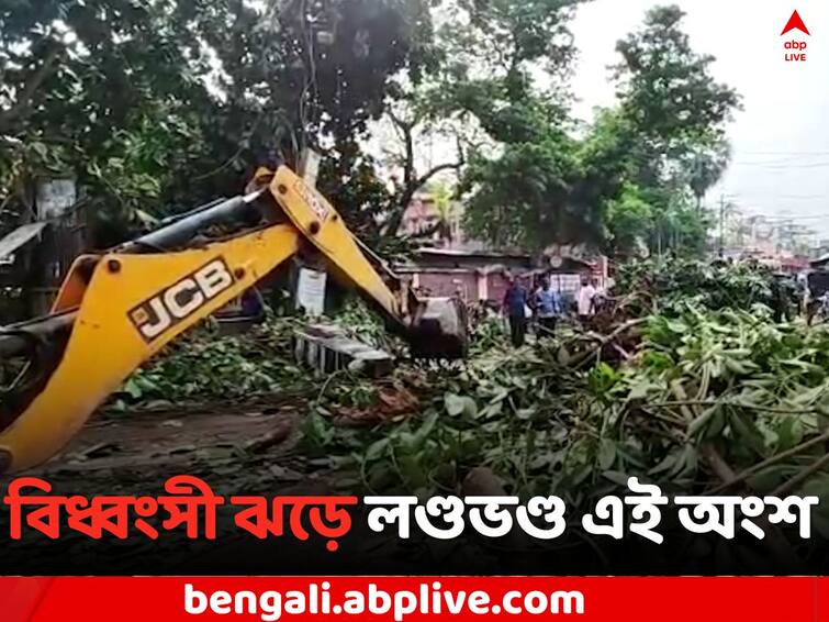 Balurghat Strom : Balurghat Court More area has been devasted by Strom, What is the Update of Cyclone Mocha Balurghat News: বিধ্বংসী ঝড়ে লণ্ডভণ্ড বালুরঘাটের একাংশ, বিদ্যুৎ বিচ্ছিন্ন কোর্ট মোড় এলাকা