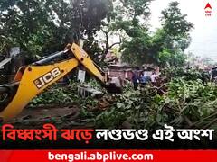 বিধ্বংসী ঝড়ে লণ্ডভণ্ড বালুরঘাটের একাংশ, বিদ্যুৎ বিচ্ছিন্ন কোর্ট মোড় এলাকা