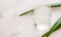 Aloe Vera: એલોવેરાનું જ્યુસ પીવાથી શરીરને પહોંચે આ અદભૂત ફાયદા, આ રીતે કરો સેવન