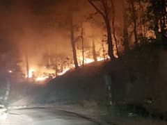 छत्तीसगढ़: वन मित्र का दावा बॉक्साइट खनन करने के लिए उद्योगपति लगा रहे हैं आग? प्रशासन ने किया ये दावा