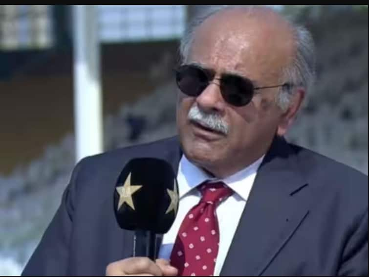 Jay Shah Never Gives Me A Reason For Not Playing In Pakistan, He Just Smiles: PCB Chief Najam Sethi