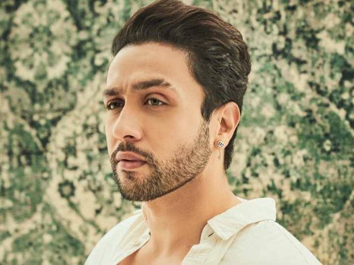 Adhyayan Suman talked about his struggle says people suggested him to do party with celebrities ‘मैं एक कुत्ते जैसा महसूस करता था...’, Adhyayan Suman ने बॉलीवुड में काम पाने के लिए बेले खूब पापड़, स्ट्रगल पर छलका दर्द