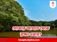 ফণী, আমফান, ইয়াসের স্মৃতি যেন না ফেরে ... মোকার আগে সতর্ক সুন্দরবন
