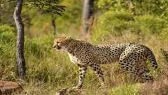 Weekly Recap Headlines:  कसा होता हा आठवडा? देश-विदेशातील महत्त्वाच्या घडामोडी..