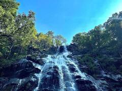 इस समर वेकेशन बच्चों को कराएं MP की इन हिल स्टेशन्स की सैर...कम पैसों में आएगी विदेशों वाली फीलिंग