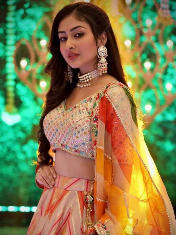 बैरिस्टर बाबू की अंचल साहू के पास है ये डिग्री