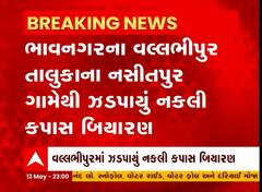 ભાવનગરઃ નસીતપુર ગામમાંથી ઝડપાયું નકલી કપાસનું બિયારણ, જુઓ આ વીડિયો