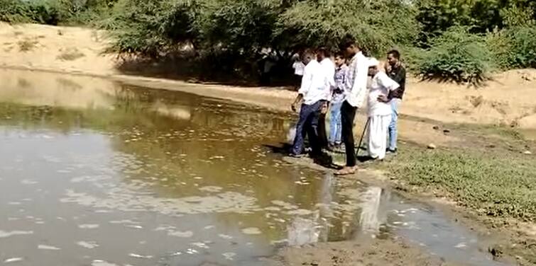 Banaskantha: accident thousands of fish has been died at one in vasna goriya village lake Banaskantha: ડીસાના એક તળાવમાં અચાનક હજારો માછલીઓના મોત, લોકોએ કરી તટસ્થ તપાસની માંગ, જાણો શું છે મામલો