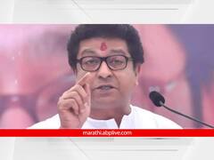 निवडणुका आल्या की नाक्यावर सभा घेणारी ही माणसं; आशिष शेलार यांचं नाव न घेता राज ठाकरे यांची टीका