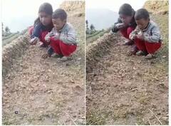 ਖੇਤ 'ਚ ਉੱਡ ਰਹੇ ਕੀੜਿਆਂ ਨੂੰ ਖਾਣ ਲੱਗੇ ਭੈਣ-ਭਰਾ...ਵੀਡੀਓ ਵੇਖ ਯੂਜ਼ਰਸ ਵੀ ਰਹਿ ਗਏ ਹੈਰਾਨ