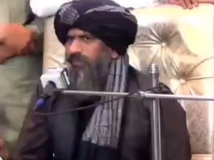 Pakistan sufi saint Suleman misbahi video viral on kashmir issue Pakistan Sufi saint Video: पाकिस्तानी सूफी ने कहा- 'हम आपस में कुत्तों की तरह लड़ते है, ऐसे कश्मीर हासिल नहीं कर पाएंगे'