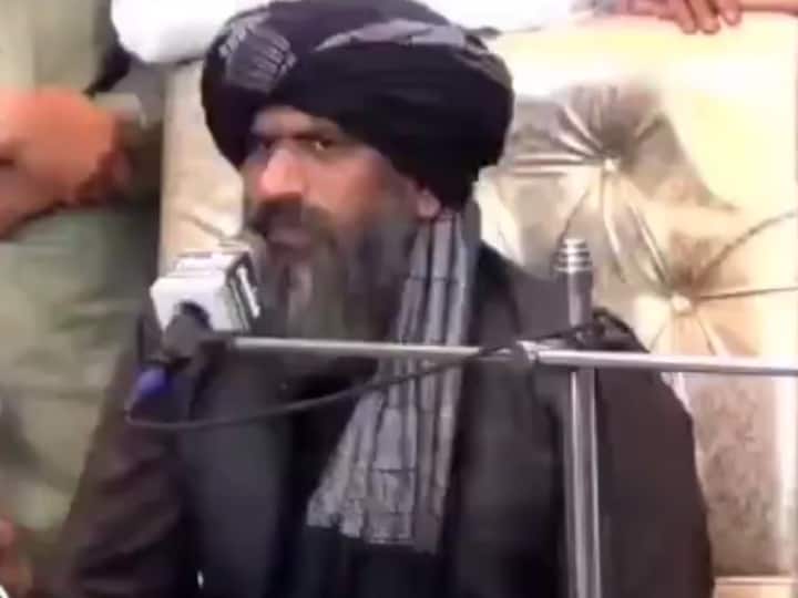Pakistan Sufi saint Video: पाकिस्तानी सूफी ने कहा- 'हम आपस में कुत्तों की तरह लड़ते है, ऐसे कश्मीर हासिल नहीं कर पाएंगे'