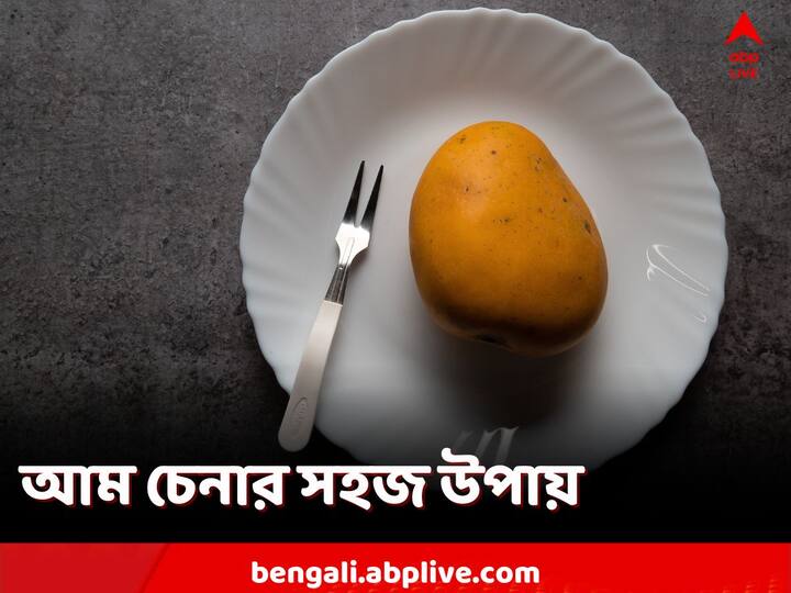 Mango Facts:কোনটা রাসায়নিক দিয়ে পাকানো আম, আর কোনটা তা নয়, কীভাবে বোঝা যাবে?