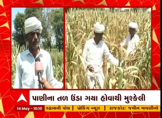 ‘42-43 ડિગ્રી ગરમીમાં શું બાજરી રહેવાની..સરકાર કંઈ રાહત આપો કોઈ આશરો નથી..’ ખેડૂતની વ્યથા