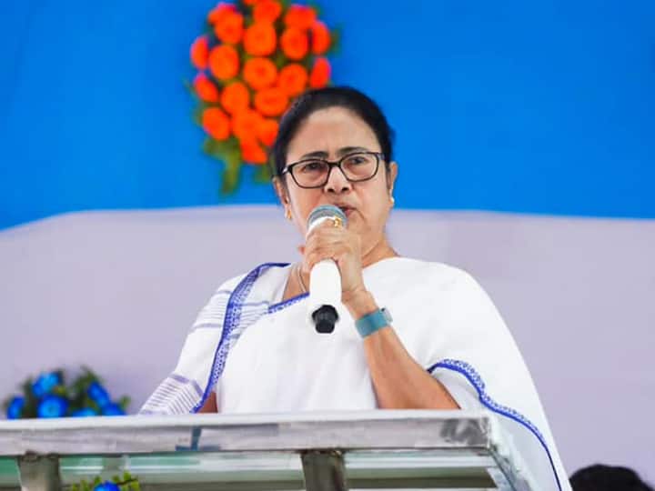 Lok Sabha Election 2024 Mamata Banerjee Says TMC Will Support Congress Wherever It Is Strong Seat Sharing Formula Will Support Congress Wherever It Is Strong: Mamata On TMC's 2024 Strategy