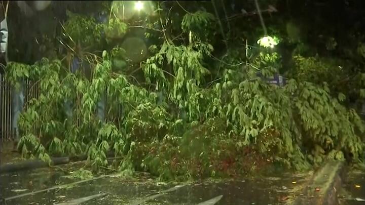 উত্তর ২৪ পরগনার ব্যারাকপুরে মঙ্গল পাণ্ডে পার্কে, গাছ পড়ে মৃত্যু হয়েছে কৌশিক ঢালি (২২) নামে এক যুবকের।পূর্ব মেদিনীপুরের পাঁশকুড়ায় লাইট পোস্ট পড়ে মৃত্যু হয়েছে এক ব্যক্তির। মৃতের নাম শেখ আসরফ খান (৬২)।