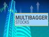 Multibagger Stock: కేవలం ₹10 వేల పెట్టుబడికి ₹8 లక్షల లాభం, సిసలైన మల్టీబ్యాగర్ స్టాక్‌ ఇది!
