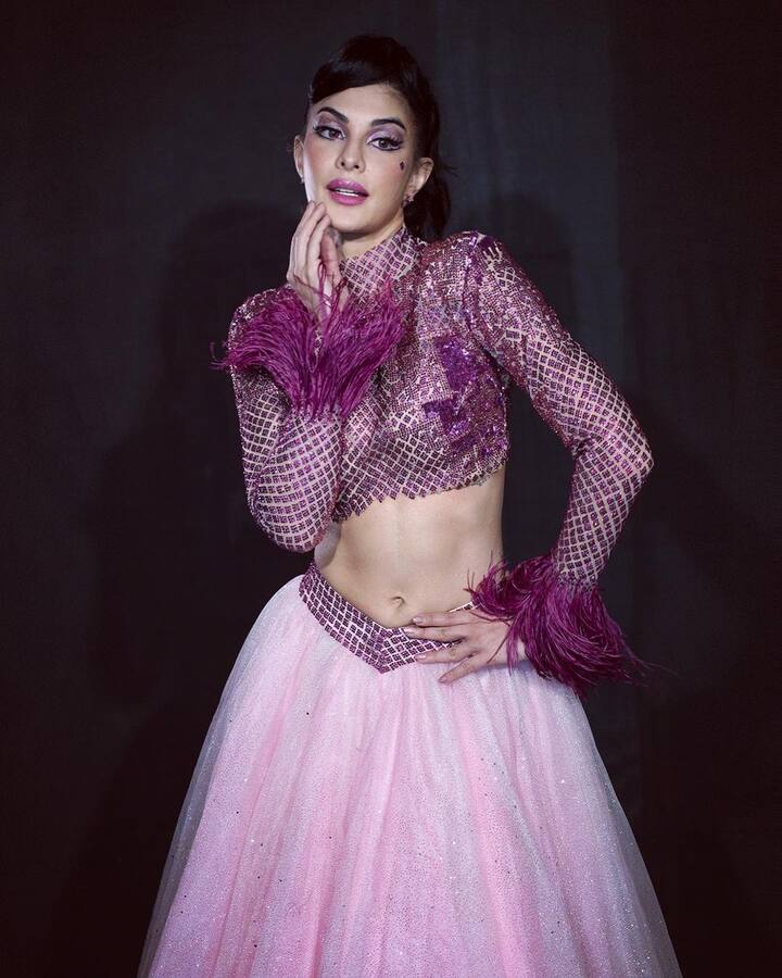 రారా రక్కమ్మ పాటలో జాక్వెలిన్ ఎంత అందంగా డ్యాన్సు వేసిందో అందరికీ తెలిసిందే.