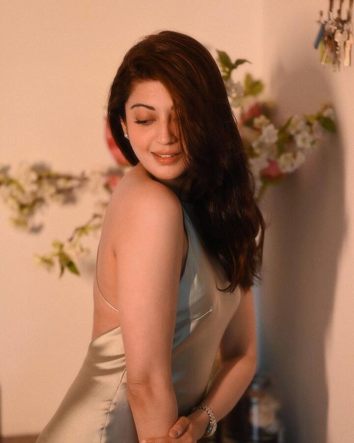 'అత్తారింటికి దారేద','పాండవులు పాండవులు తుమ్మెద','రభస' వంటి చిత్రాలలో నటించి మంచి గుర్తింపు తెచ్చుకుంది.