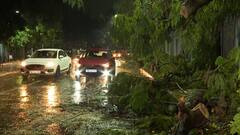 Storm Effect in Bengal: আধঘণ্টার ঝড়ে লন্ডভন্ড দক্ষিণবঙ্গ, ৩ জেলায় মৃত্যু ৫ জনের