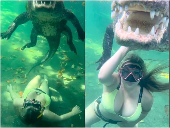 Fearless girl swimming with crocodile in pond Shocking video goes viral तालाब में मगरमच्छ के साथ तैर रही थी लड़की, ऐसा खतरनाक नजारा शायद ही देखा होगा