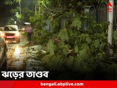 ঝড়ের তাণ্ডবে উপড়ে গেল গাছ, দুমড়ে মুচড়ে গেল গাড়ি, কলকাতায় আহত ৫