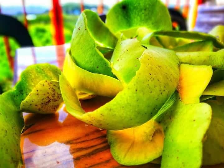 know amazing mango peel health benefits आम के छिलकों का क्या करें... अगर आप फेंक देते हैं तो ये खबर जरूर पढ़ लीजिए