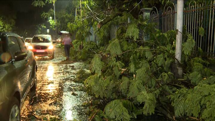 লেক গার্ডেন্স, সাদার্ন অ্য়াভিনিউতেও বিভিন্ন প্রান্তে গাছ পড়ে ব্য়াপক যানজট তৈরি হয়। আহত হন একাধিক পথচারী।