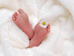 'मां का दूध है जरूरी', कहकर मुंबई कोर्ट ने महिला को दी 18 महीने के बच्चे की कस्टडी