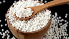 Health :શું સાબુદાણાનું સેવન વજન વધારે છે? જાણો તેના સેવનના ફાયદા અને નુકસાન