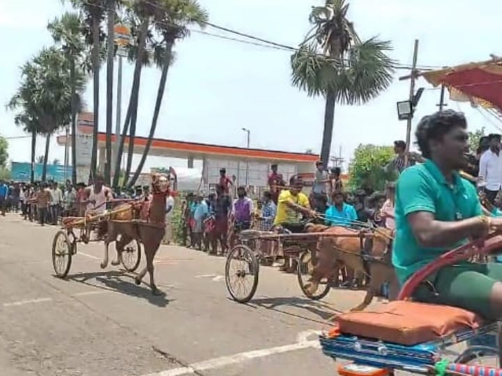 கரூரில் மாபெரும் எல்கை பந்தய போட்டி..சீறிப்பாய்ந்த மாடுகள், குதிரைகள் - ஆராவரத்துடன் கண்டுகளித்த மக்கள்