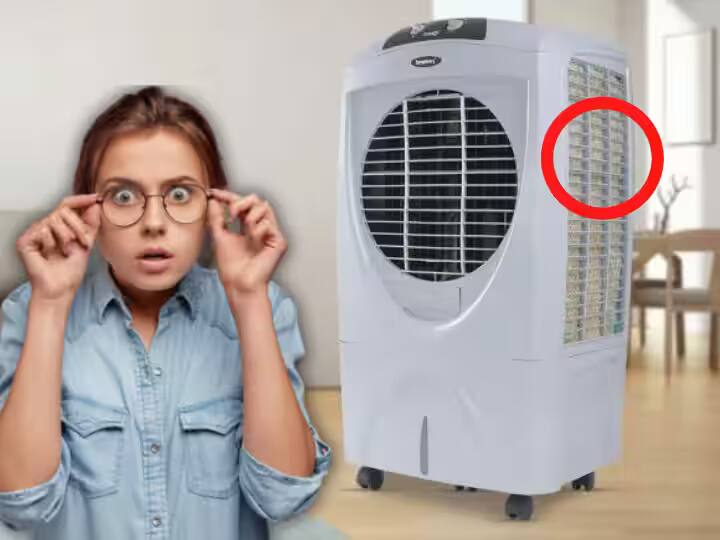 maintenance tips of air cooler and outdated grass marathi news Cooler Grass : तुमच्या Air cooler मधून थंड हवा येत नाही? तर मग 'हा' उपाय करा; वातावरण होईल गारेगार