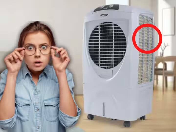 maintenance tips of air cooler and outdated grass marathi news Cooler