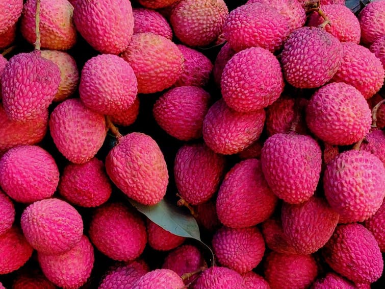 five health-benefits-of-lychees know in details Lychee Benefits: ভিটামিন সি-তে ভরপুর লিচু, ভাল রাখে লিভার, সমাধান করে আরও অনেক সমস্যার