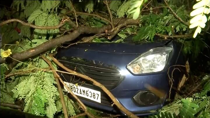 দুর্যোগের জেরে ভাতারে থমকে গেল অভিষেকের কনভয়। মঙ্গলকোটের সভা, আউশগ্রামের রোড শো বাতিল করে দিতে হয়। হাওড়া-শিয়ালদা দুই সেকশনেই ব্য়াহত হল ট্রেন চলাচল।