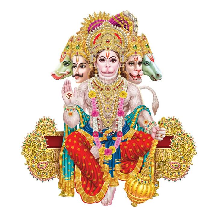 শনির অশুভ প্রভাব এড়াতে হনুমানের পুজো করা উচিত। ভৈরবের পুজো করলেও উপকার পাওয়া যায়। শনির শান্তির জন্য মহামৃত্যুঞ্জয় মন্ত্র জপ করতে হবে। তিল, উরদ, মহিষ, লোহা, তেল, কালো কাপড়, কালো গরু, জুতো দান করতে হবে। কাককে রুটি খাওয়ালে শনির আশীর্বাদও পাওয়া যায়।